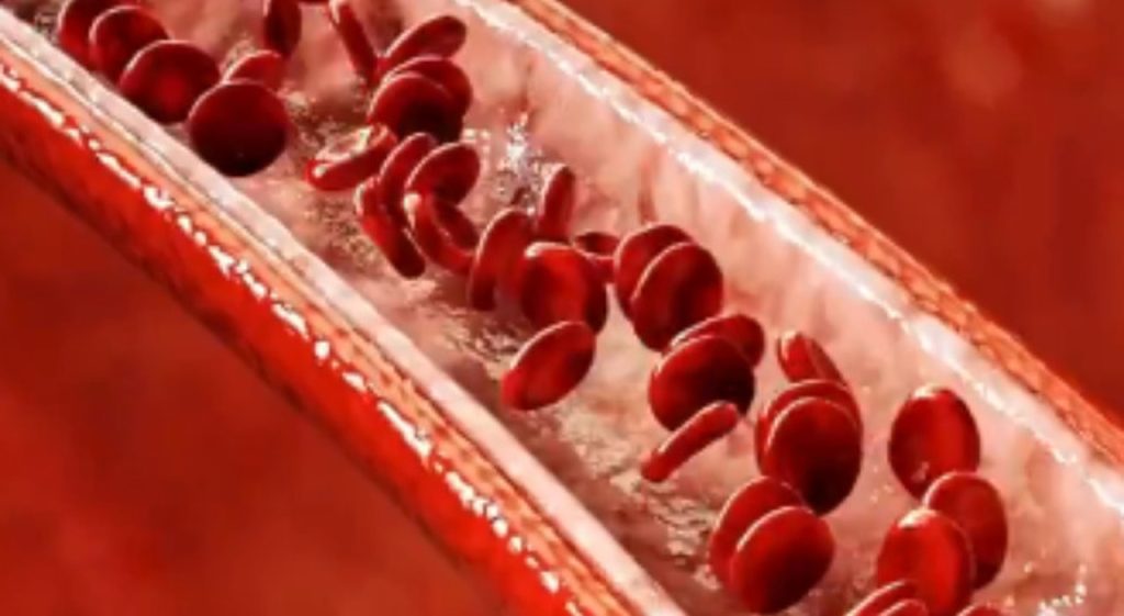 Robot microscopici: piccoli trasportatori di farmaci nel corpo umano, anche nei capillari più fini.