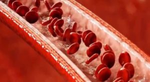 Robot microscopici: piccoli trasportatori di farmaci nel corpo umano, anche nei capillari più fini.