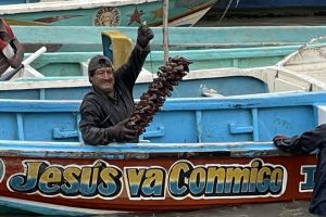 Ecuador, incentivi per la pesca dei granchi e le foreste di mangrovie