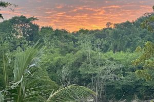 Mark Plotkin’s Insights on Amazon Conservation: Key Takeaways from COP30