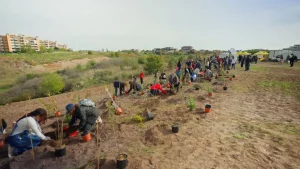 Tim pianta 400 alberi a Roma per un ambiente urbano più verde e sostenibile.