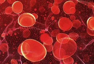 Cause comuni e sintomi dell’anemia: perché si sviluppa nel corpo umano