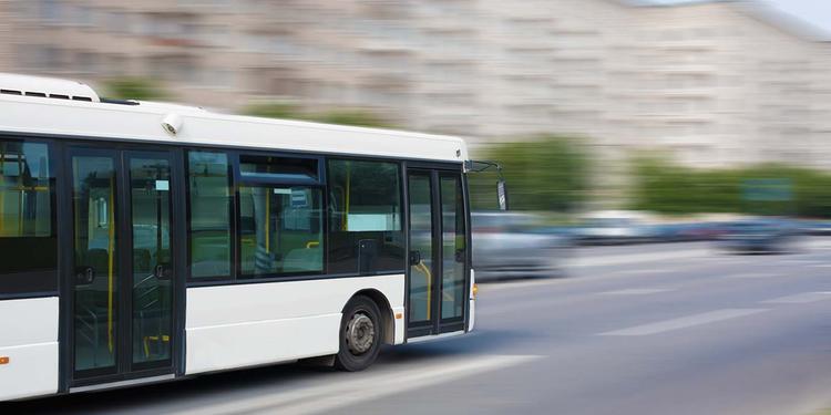 Visite didattiche e viaggi di istruzione: chiarimenti ufficiali dai Ministeri competenti.