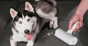 I Link Affiliati e La Trasparenza Non sorprende chi è appassionato di tecnologia sapere che...