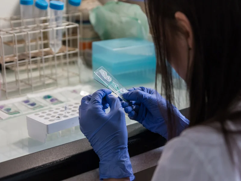 Epatite B: contagiosità, sintomi e opzioni di trattamento per la guarigione