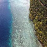 Tre strategie chiave per raggiungere 1.5°C: abbandono dei fossili, protezione delle foreste, carbonio naturale.