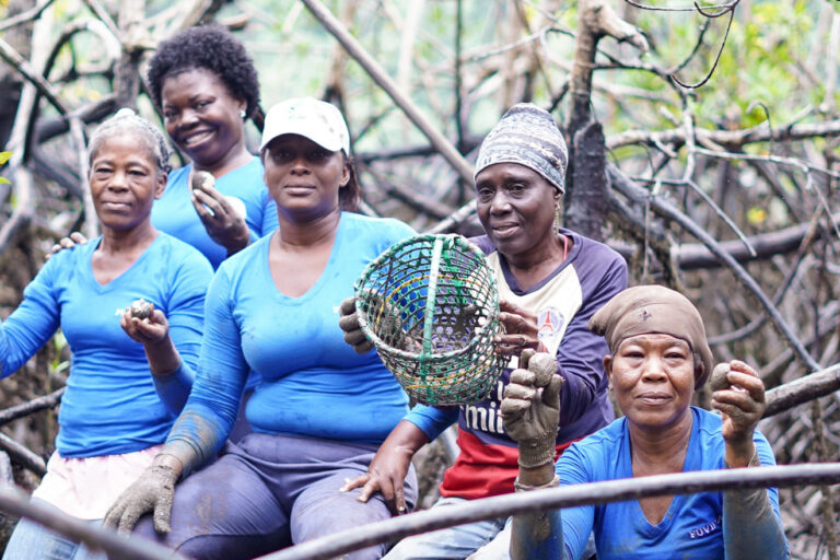 L'importanza delle popolazioni afro-discendenti nella conservazione della biodiversità Nuove...
