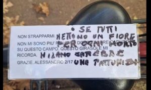 Milano, “Fiori per i morti? Diventa una pattumiera”: il dibattito infiamma la città.