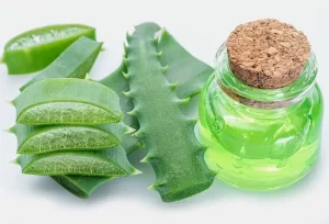 Agave: benefici e rischi per la salute che devi conoscere oggi