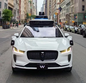 La morte di un gatto amato accende le critiche contro Waymo.