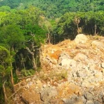 Danni Ecologici nei Monti Knuckles dello Sri Lanka I Monti Centrali dello Sri Lanka, noti per la...