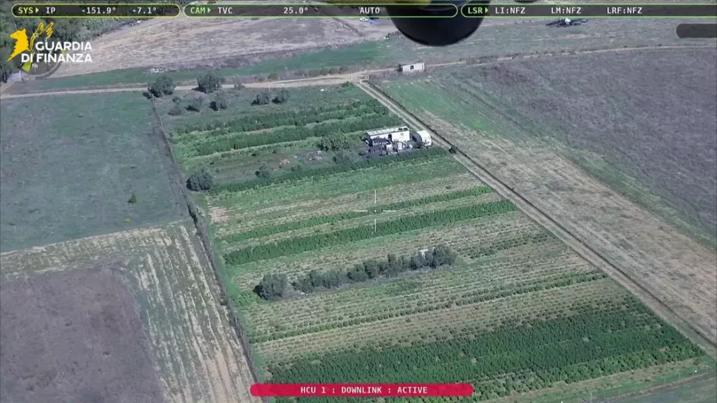 Assemini: sequestro record di marijuana e prodotti derivati, scoperta clamorosa nella battaglia contro la droga.