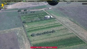 Operazione contro la Cannabis a Cagliari: Scoperta una Piantagione Illegale CAGLIARI (ITALPRESS) – I...