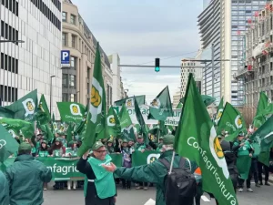 Agricoltura: un Settore Strategico per l'Unione Europea BRUXELLES (BELGIO) – L'agricoltura riveste...