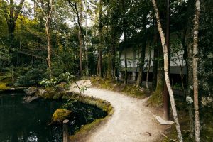 La Famiglia nel Bosco: Nuovi Sviluppi e Reazioni La vicenda della famiglia che vive nel bosco di...
