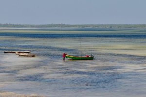Il piano nucleare in Kenya rivela gravi problemi di diritti sulla terra.