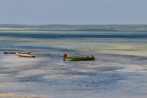 Il piano nucleare in Kenya rivela gravi problemi di diritti sulla terra.
