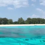 Minacce marittime nell'Oceano Indiano Occidentale Secondo un nuovo rapporto della Commissione...