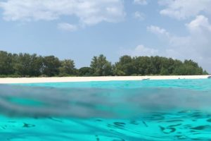 Minacce marittime nell'Oceano Indiano Occidentale Secondo un nuovo rapporto della Commissione...