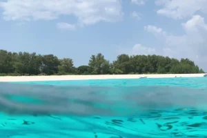 Minacce marittime nell'Oceano Indiano Occidentale Secondo un nuovo rapporto della Commissione...