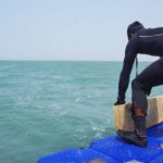 Mappatura degli Habitat Costieri della Cambogia Recenti studi hanno portato alla luce la prima mappa...