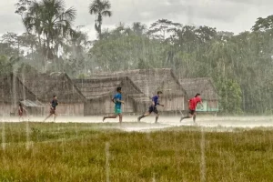 Mongabay: premiato nel 2025 per il miglior giornalismo ambientale investigativo globale.