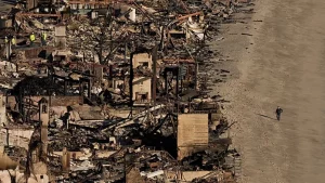 Cambiamento Climatico e Mercato Immobiliare: Un Tamioco Globale Il cambiamento climatico sta influenzando profondamente