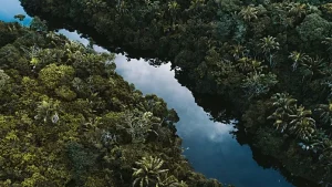 Il Clima Ipertropicale: Un Fenomeno Scomparso da Milioni di Anni Il clima ipertropicale, mai...