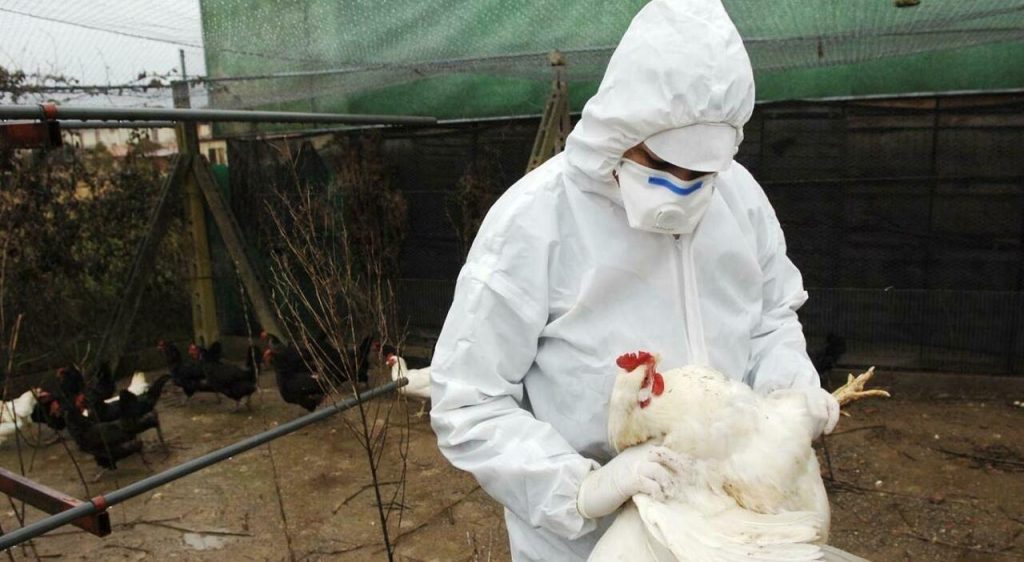 Uomo infettato negli Stati Uniti deceduto: allerta per la situazione sanitaria.