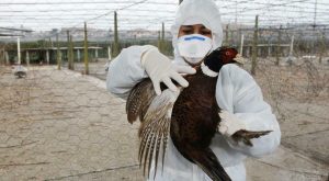 Scopri la bellezza della natura: paesaggi mozzafiato che tolgono il fiato.