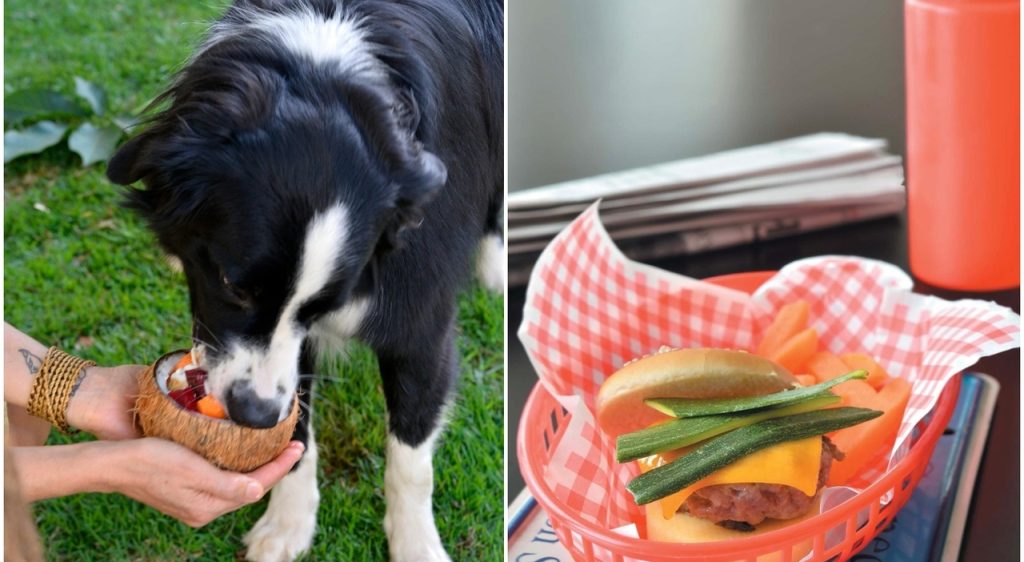 Attenzione ai cibi tossici per il tuo cane Il cane è un compagno fidato e prezioso nella vita umana...