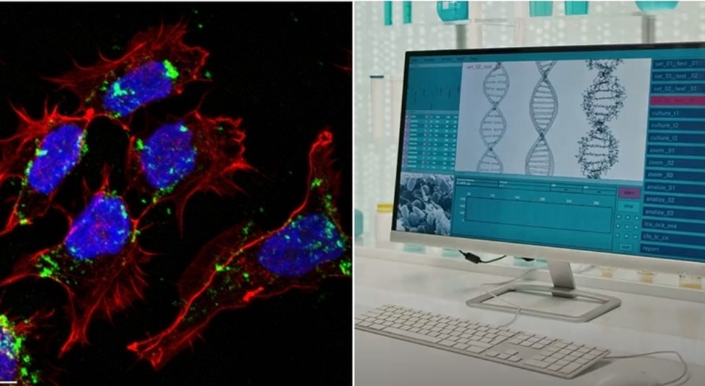 L’Importanza del lncRNA nella Lotta Contro il Medulloblastoma di Gruppo 3 Una recente ricerca...