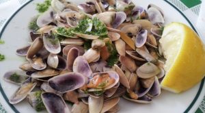 Divieto di consumo e raccolta per telline: rilevata salmonella nel campione.