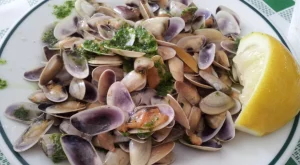 Divieto di consumo e raccolta per telline: rilevata salmonella nel campione.