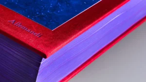 Allemandi: ricavi e utili in crescita nel primo anno con nuova compagine societaria