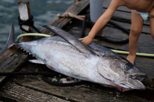 Nuove Regole per la Pesca nel Pacifico Meridionale La Commissione per la Pesca del Pacifico...