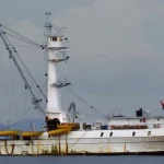 Stallo nella Conservazione delle Risorse Marine: Critiche alle Organizzazioni di Gestione della...