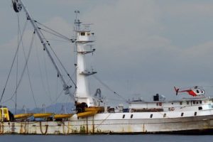 Stallo nella Conservazione delle Risorse Marine: Critiche alle Organizzazioni di Gestione della...