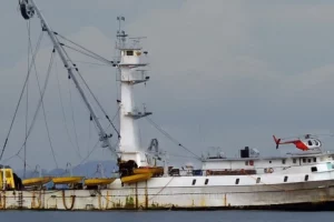 Stallo nella Conservazione delle Risorse Marine: Critiche alle Organizzazioni di Gestione della...