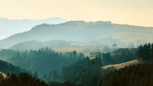 Scopri la magica Foresta Nera: il cuore fiabesco della Germania.