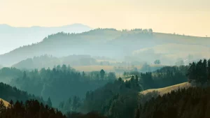 Scopri la magica Foresta Nera: il cuore fiabesco della Germania.
