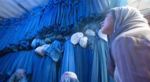 Il divieto del velo nelle scuole: una misura controversa in Austria Nonostante la ricca diversità...