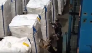 Maxi Sequestro di Cocaina al Porto di Civitavecchia CIVITAVECCHIA (ROMA) (ITALPRESS) – È stato...