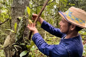 Agricoltori del Sud-est asiatico e sfide per il rispetto dell’EUDR: intervista a Martin Greijmans.