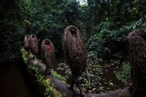 Importanza delle Aree Protette nella Conservazione della Biodiversità Le aree protette sono...