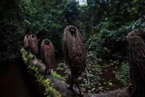 Aree protette in Africa: importanza e differenze nelle percezioni locali.