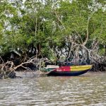 ## La crisi delle pescherie nel Camerun La pesca lungo le coste del Camerun sta vivendo un momento...