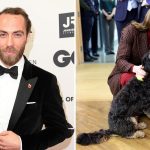 Perché i membri della famiglia reale amano i cani: la teoria di James Middleton spiegata.