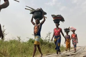 Il problema dei pesticidi in Nigeria: una realtà allarmante Nigeria ha vietato l’uso di una lista di...