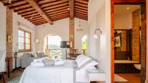 Un'Evoluzione nel Viaggiare con gli Animali Domestici Una volta prenotare una vacanza significava...